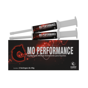 MO PERFORMANCE